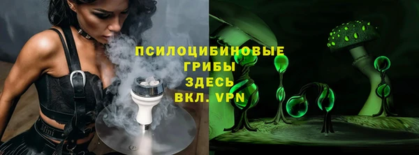 МДПВ Зеленодольск