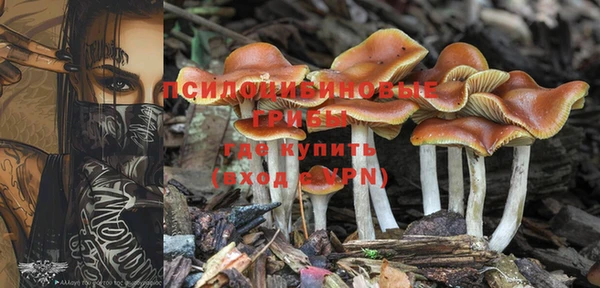 молекула духа Зеленокумск