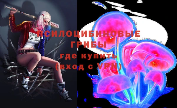 МДПВ Зеленодольск